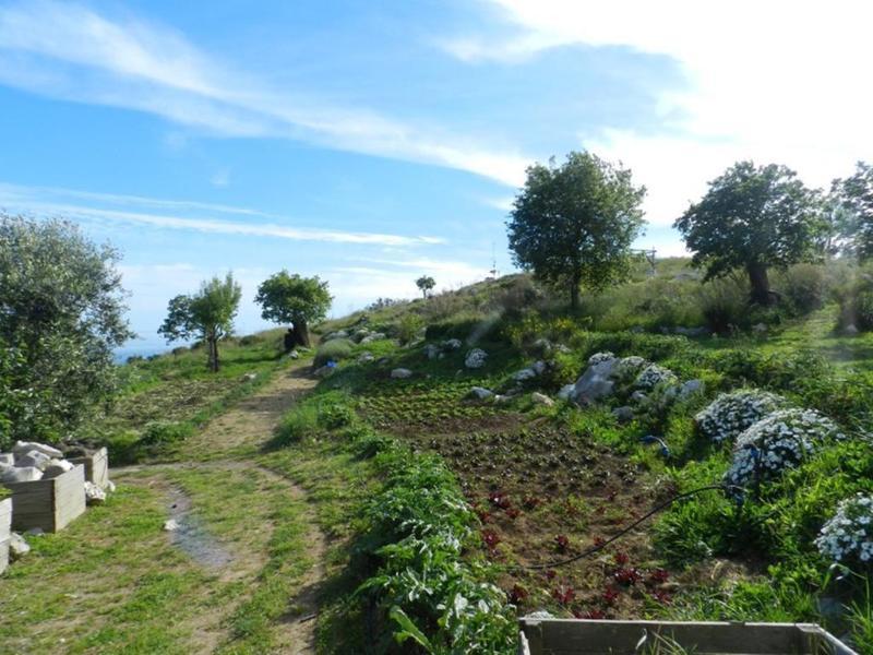 Azienda Agricola Fattoria Terranov Alloggio per agriturismo *